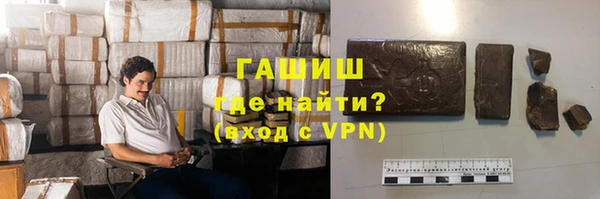 ешки Алексин