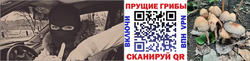 Галлюциногенные грибы мухоморы Тула